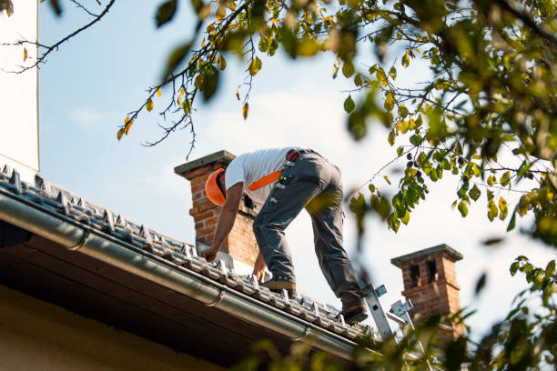 Best Storm Damage Roof Repair  in Lomita, CA